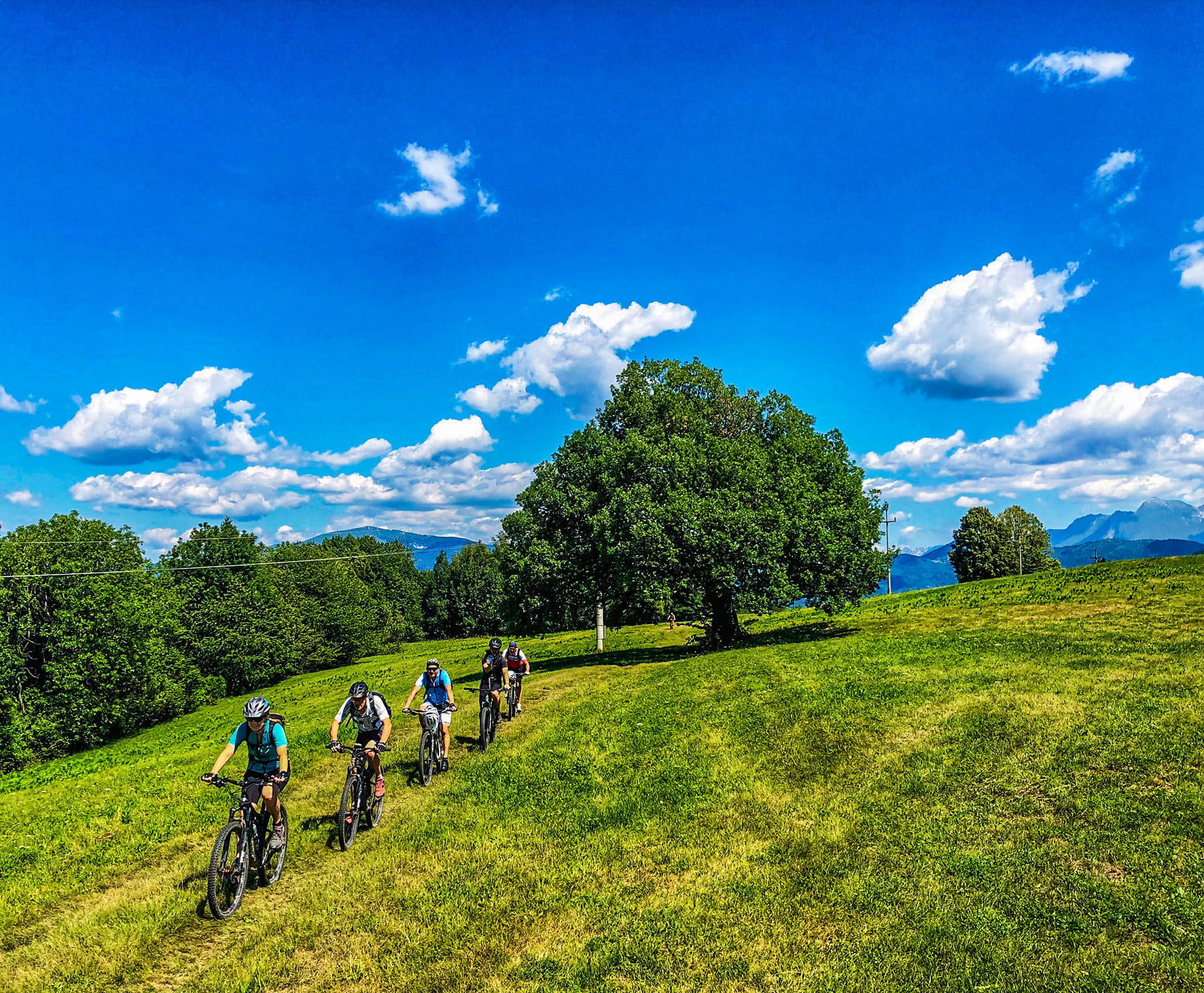 Biking on a sunny day