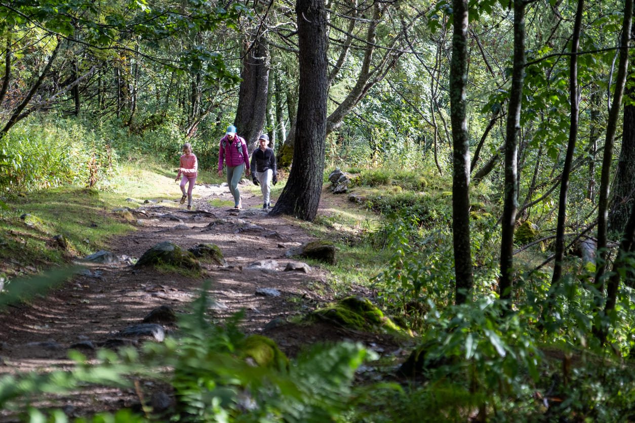 Family hiking, Chamonix