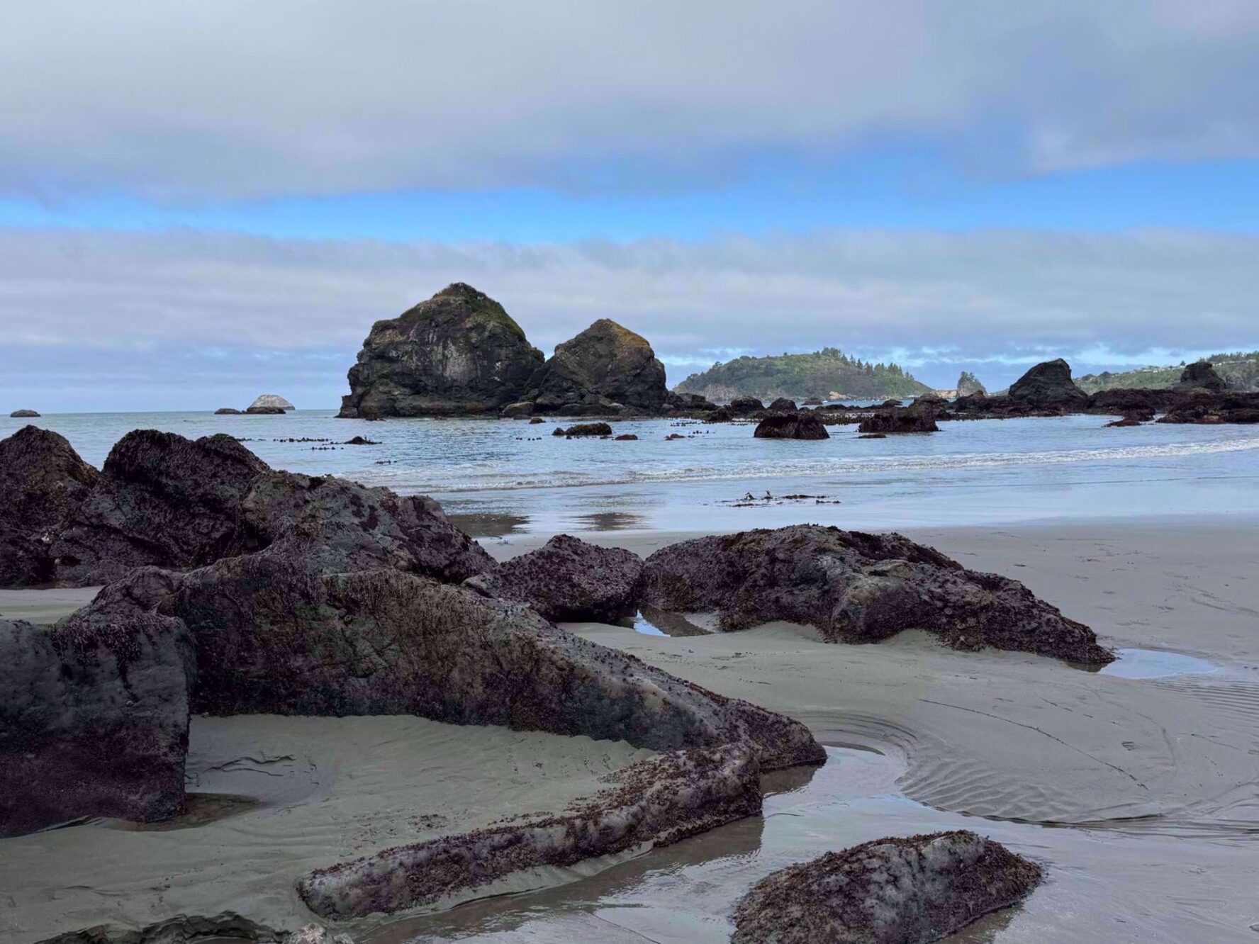 Coastal landscape on the Redwood wellness tour