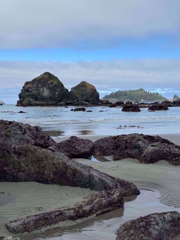 Redwood Wellness Tour: All-Women Active Vacation