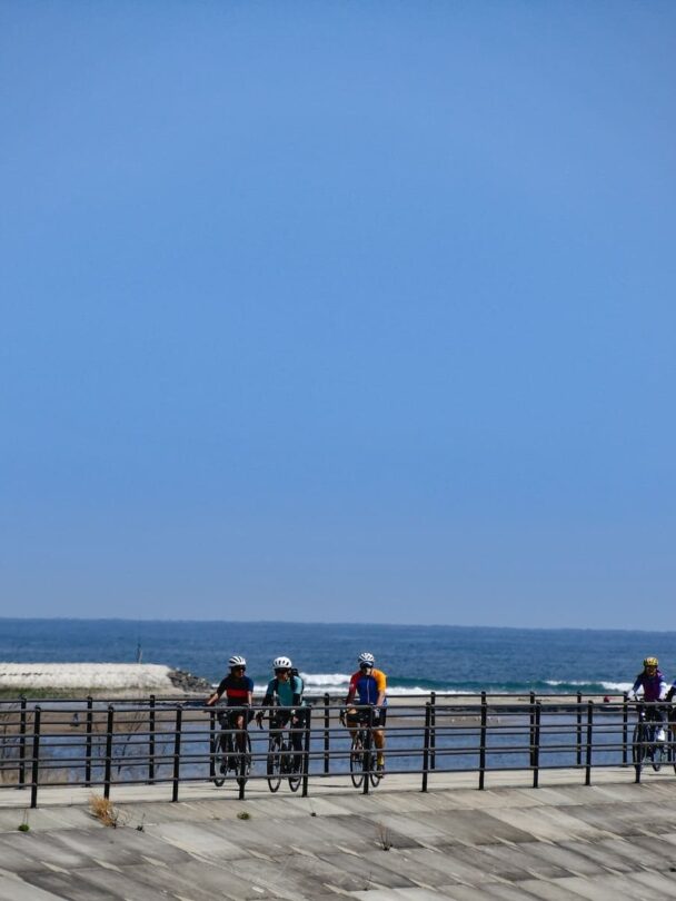 Tohoku sakura bike tour