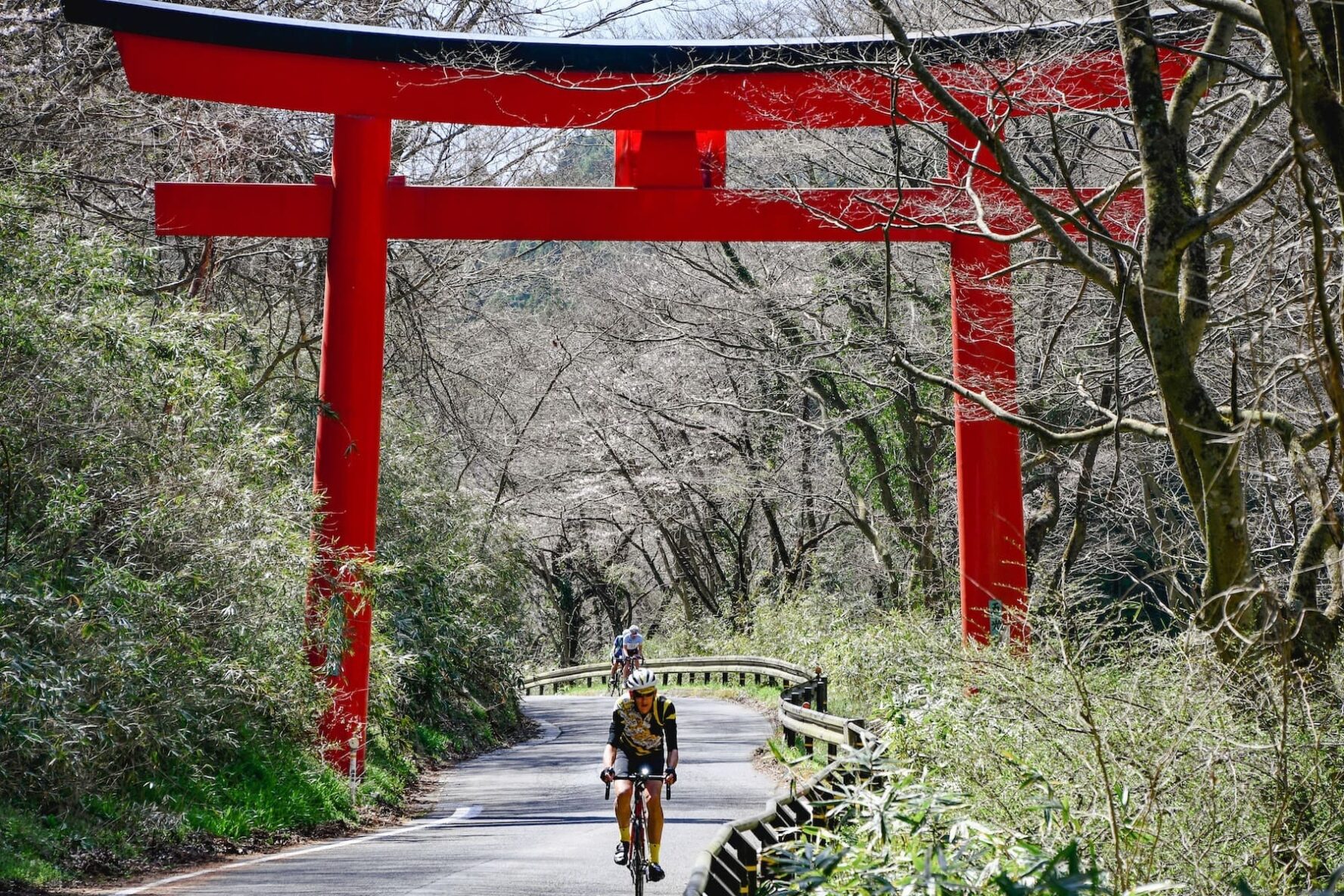 Cycling near a torii gate