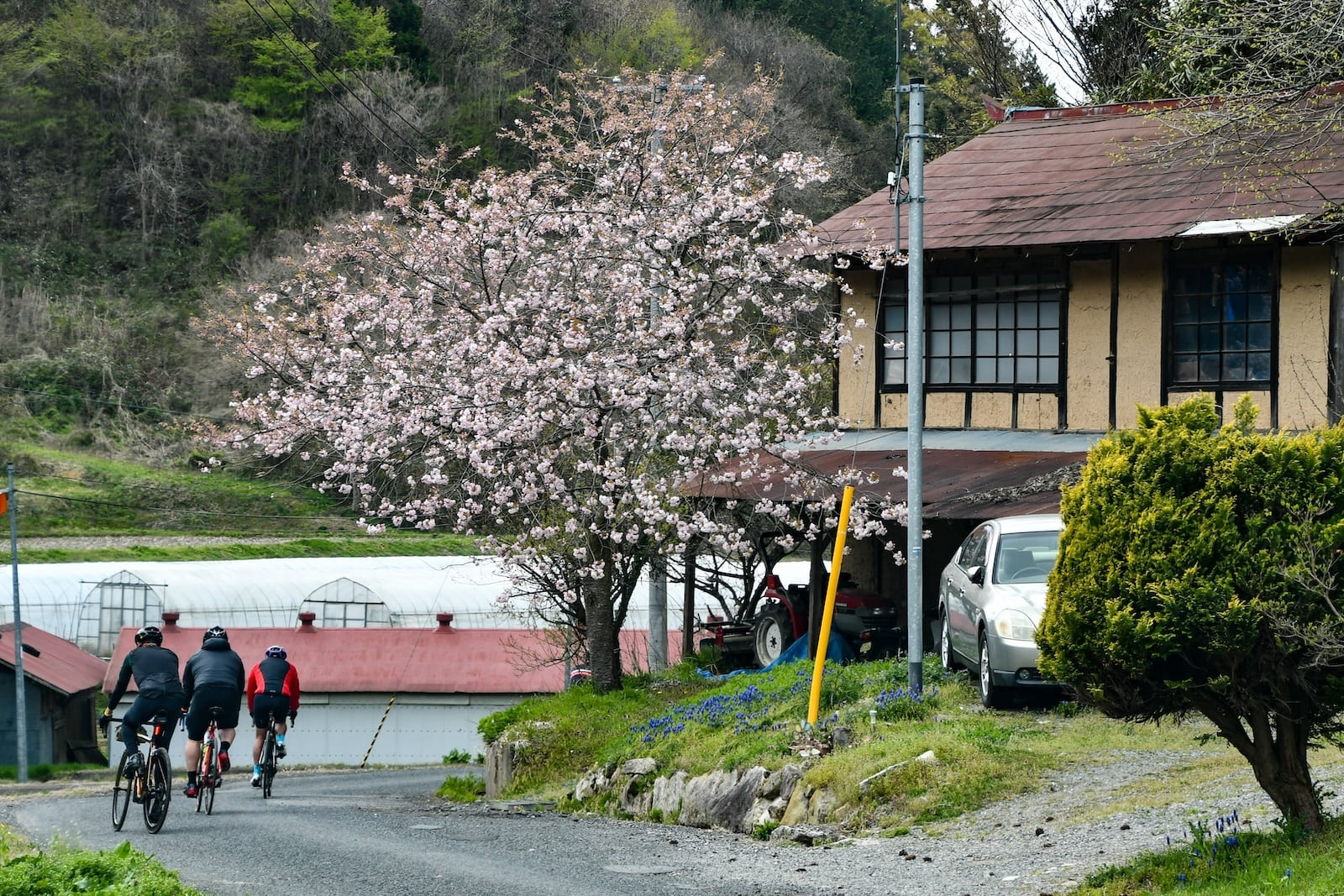 Cycling in a village in Japan