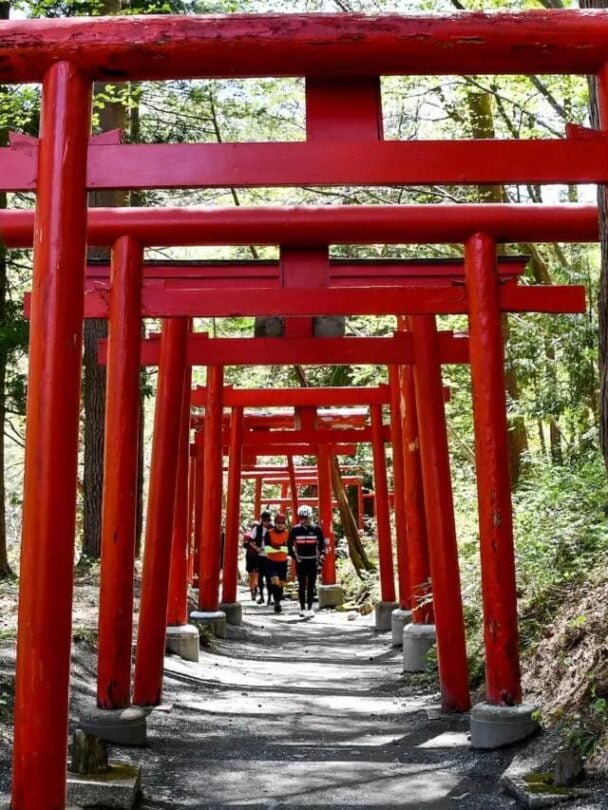 Tohoku sakura bike tour