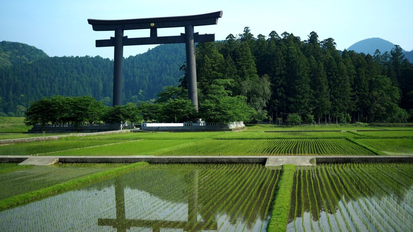 Fields Japan countryside
