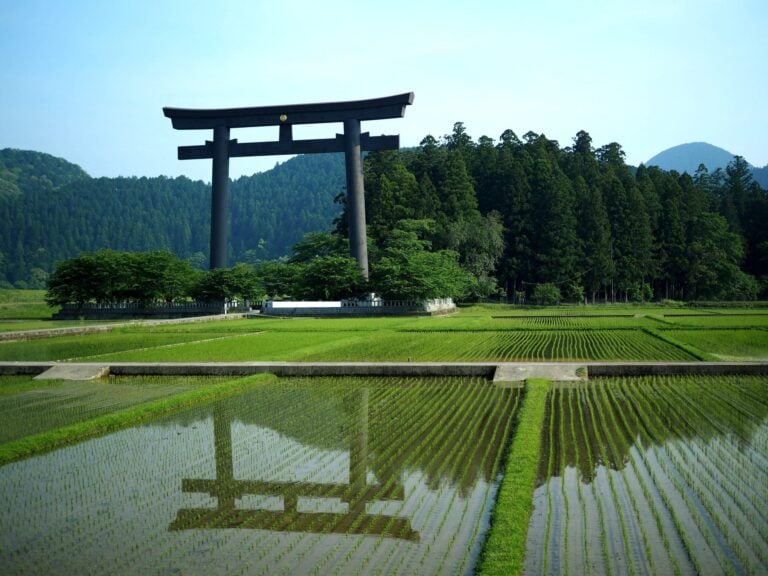 Fields Japan countryside