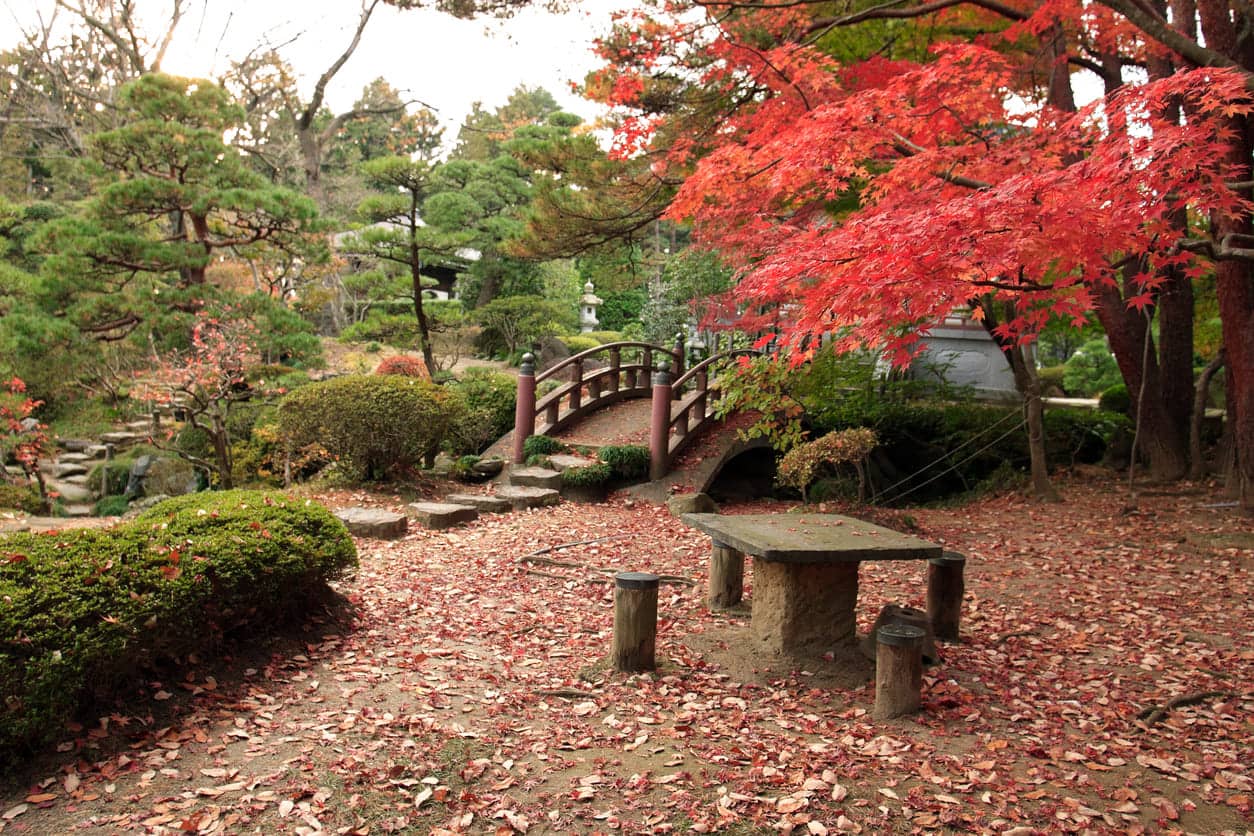 Garden in Sendai