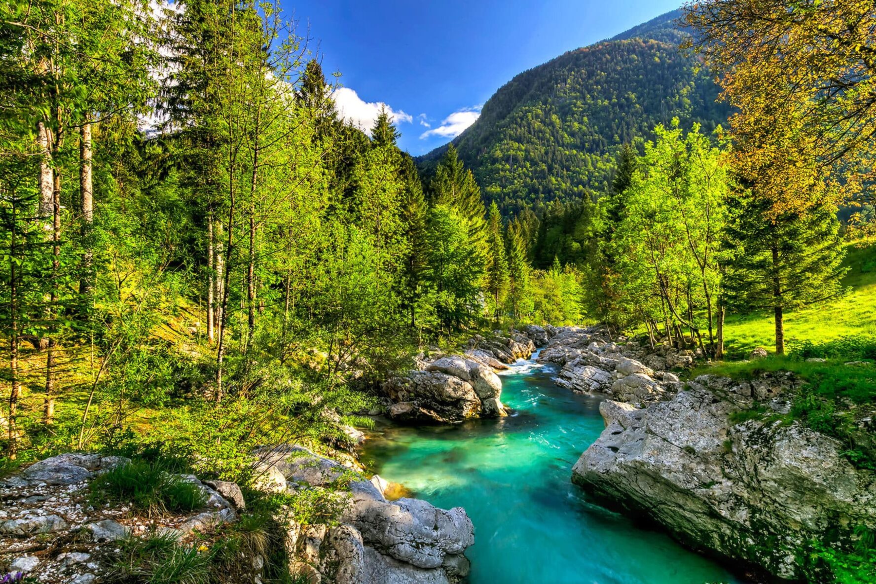 Green Soca river