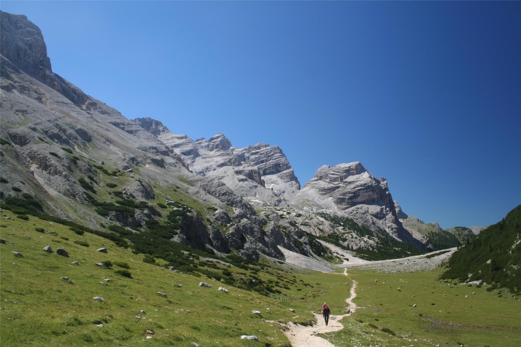 Hiker on the lush Alta Via 1