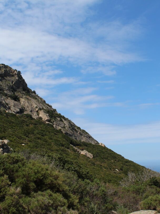 Self-Guided Walking Holidays in Corsica: Mountains to Coast