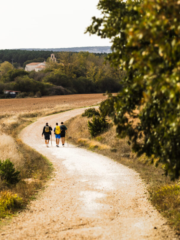 Camino de Santiago visual data 7