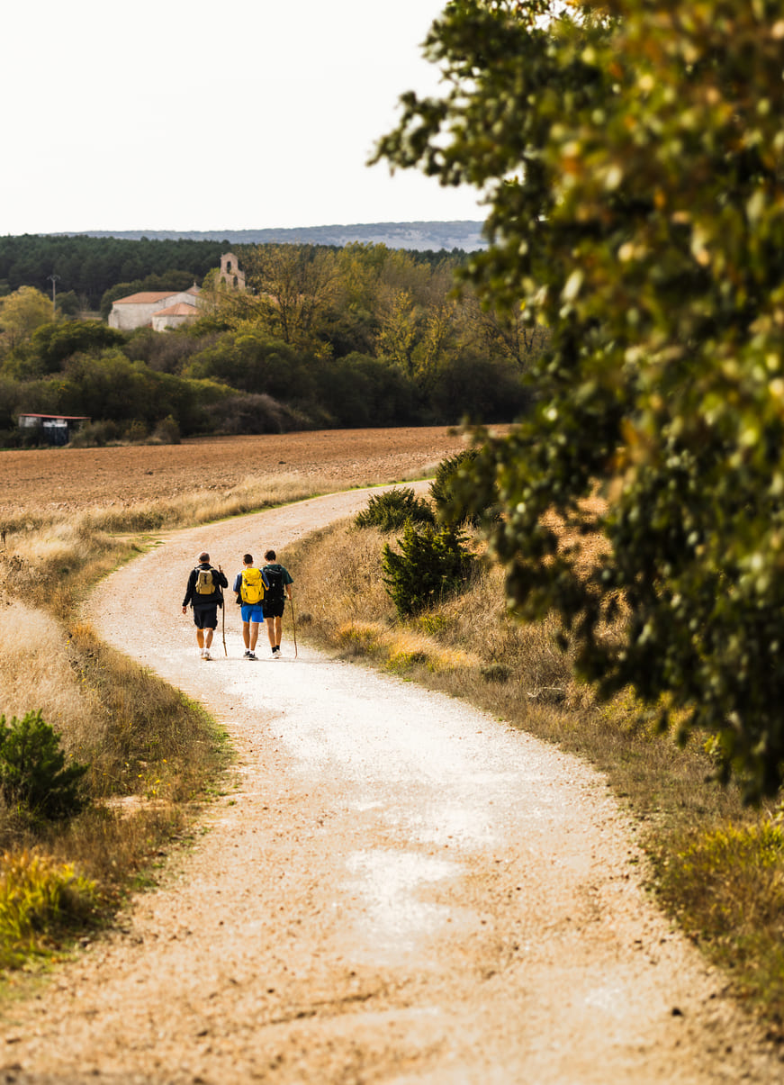 Hikers on a dirt path