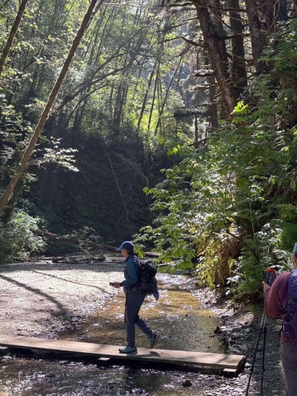 Redwood Wellness Tour: All-Women Active Vacation