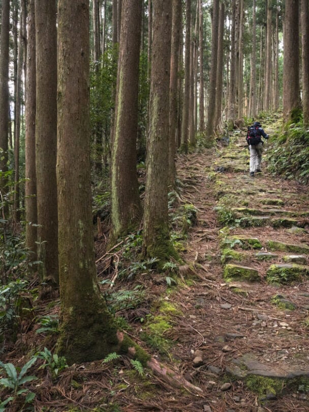 Hiking Japan