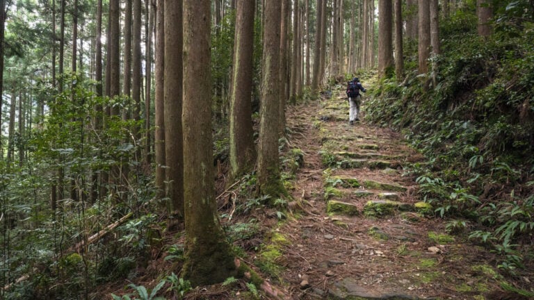 Hiking Japan
