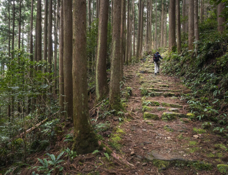 Guided Adventures in Kumano Kodo | 57hours