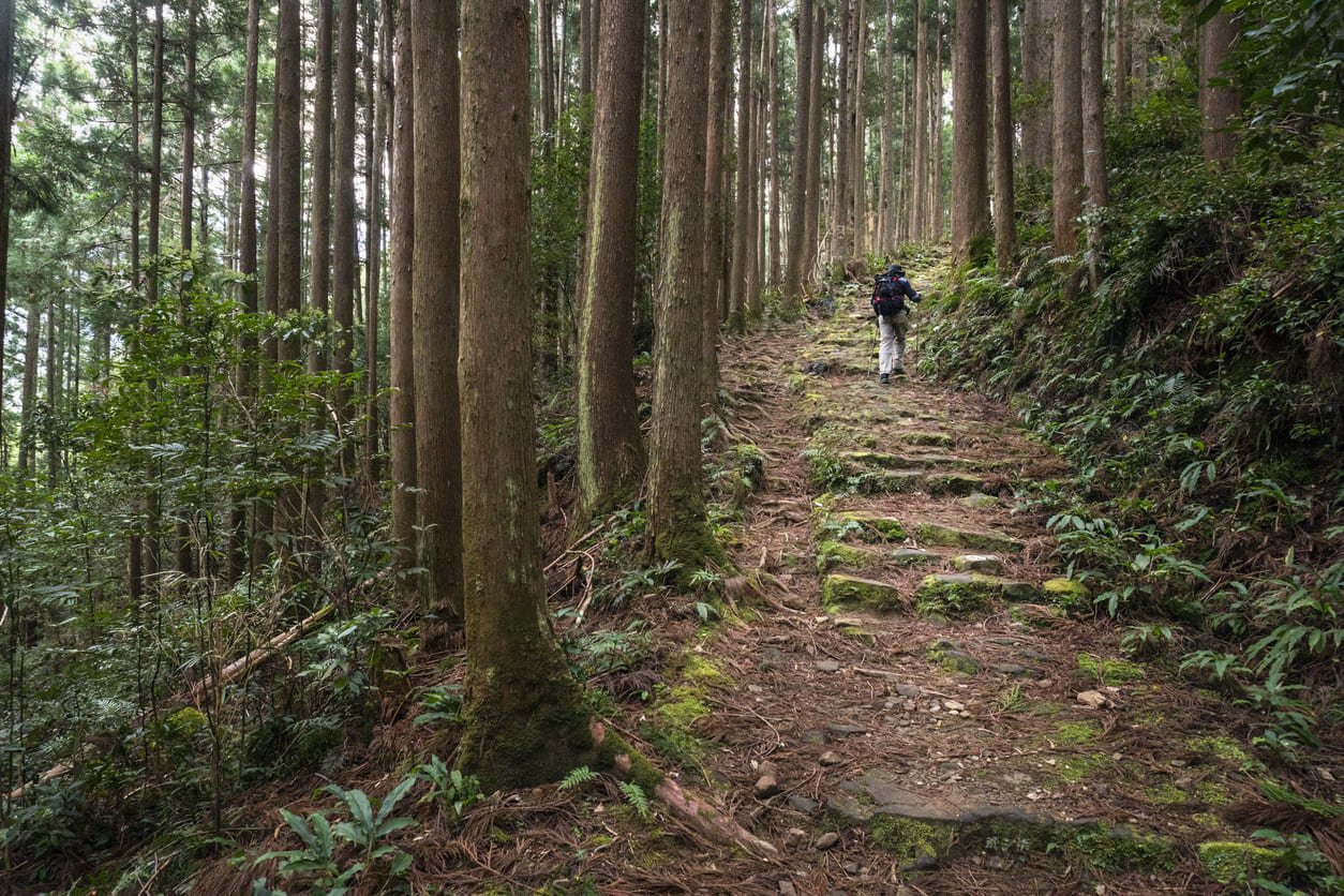 Hiking Japan