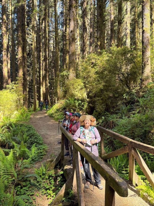 Redwood Wellness Tour: All-Women Active Vacation