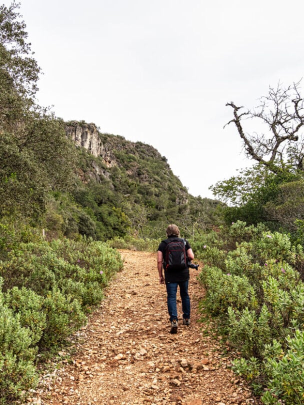 Portugal Algarve Vicentine coast tour