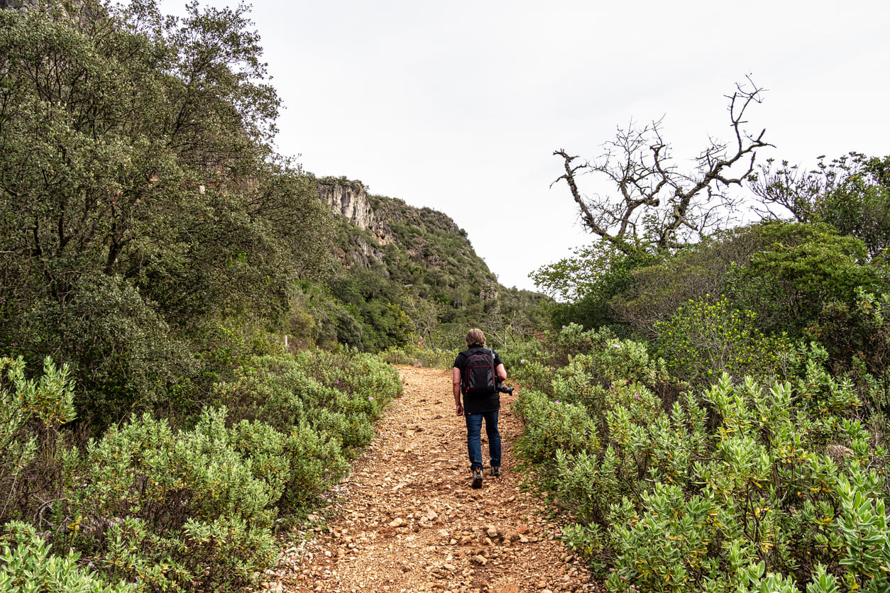Hiking to Rocha da Pena