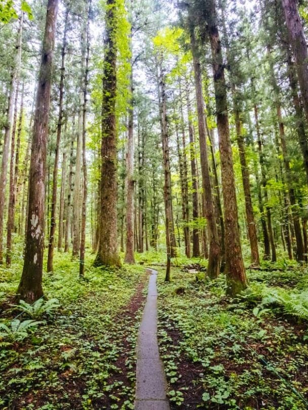Kunisaki trek
