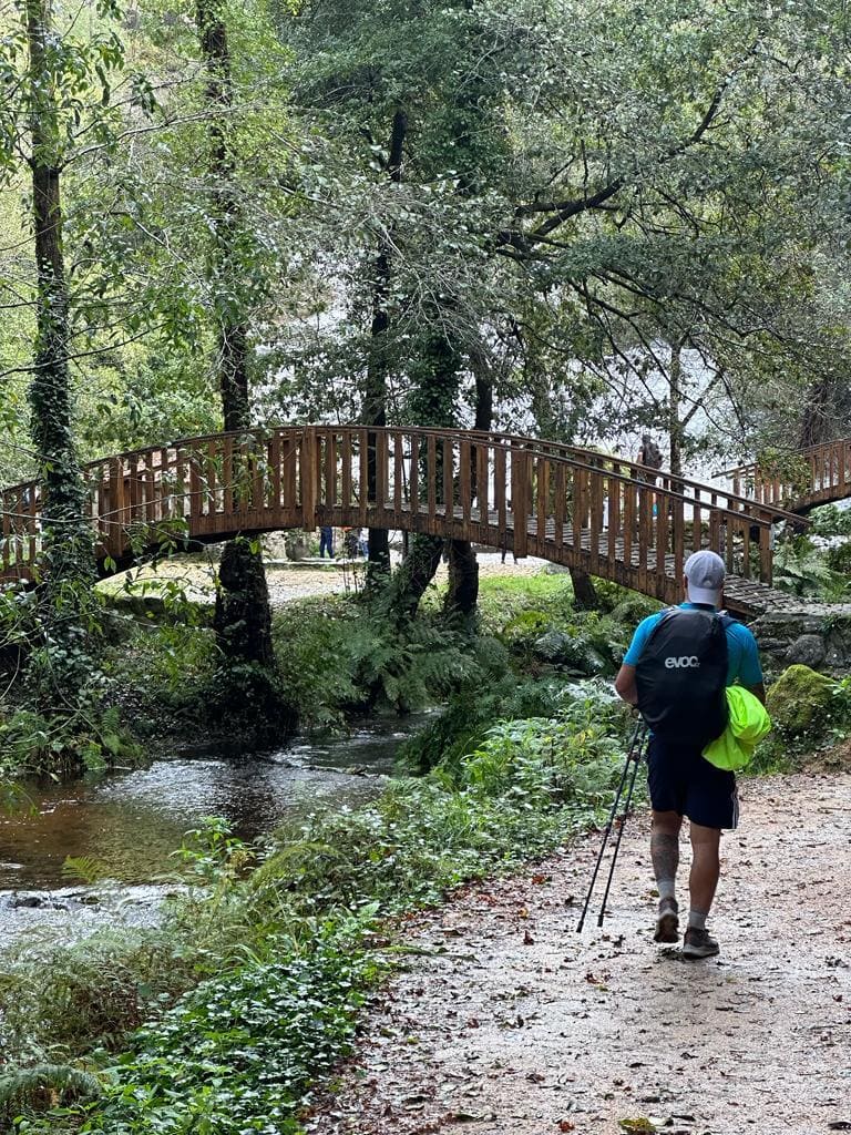Hiking near a wooden bridge