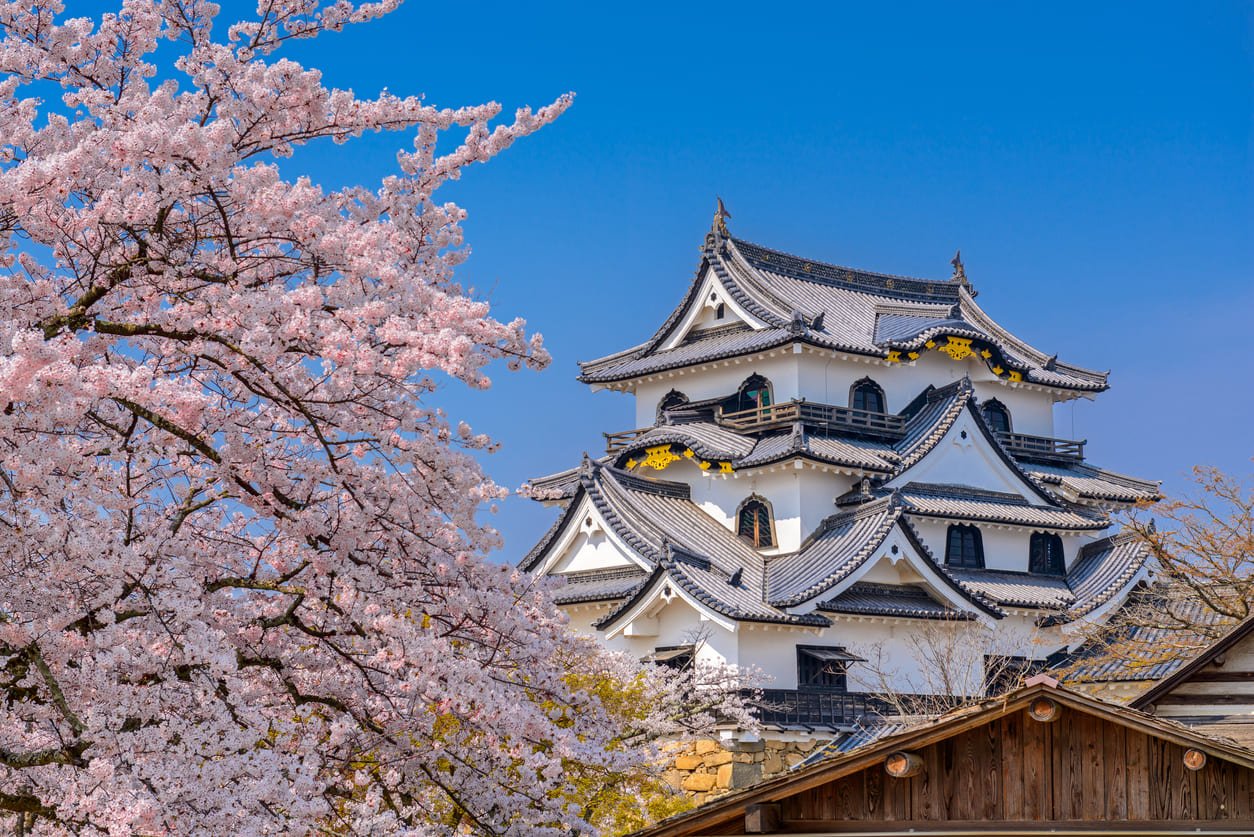 Hikone castle