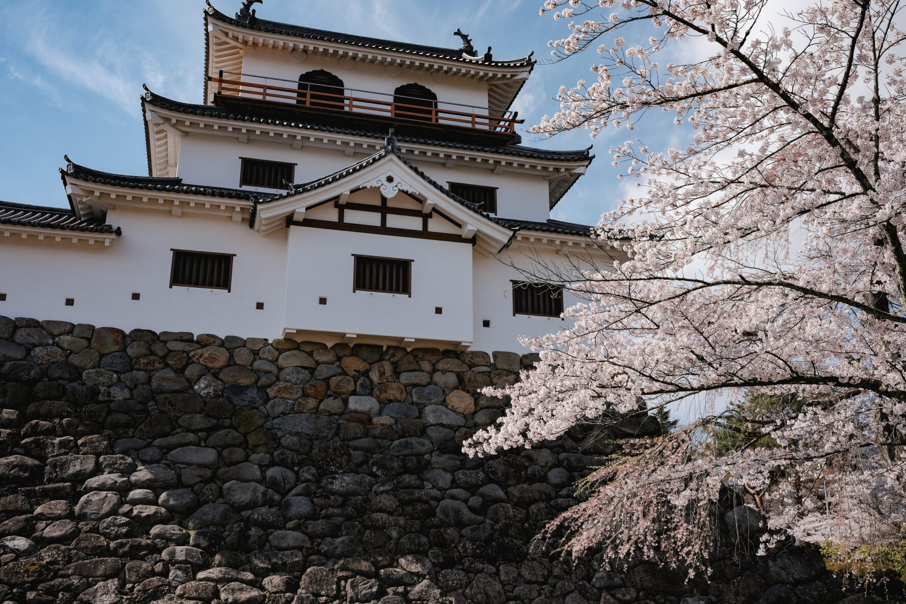Japanese castle in spring