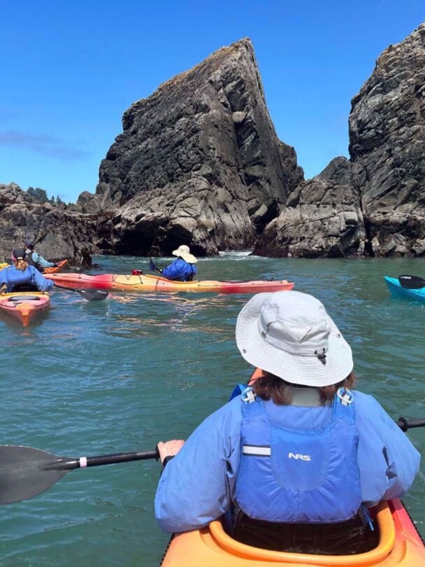 Redwood Wellness Tour: All-Women Active Vacation