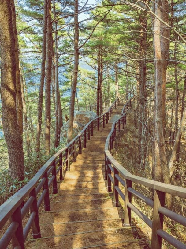 Michinoku coastal trail tour