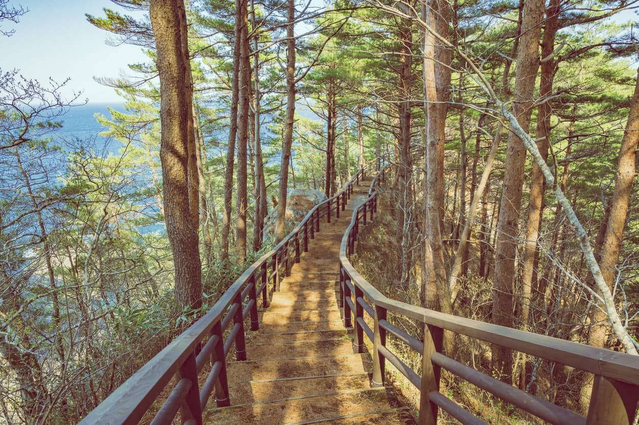 Kitayamazaki walkway