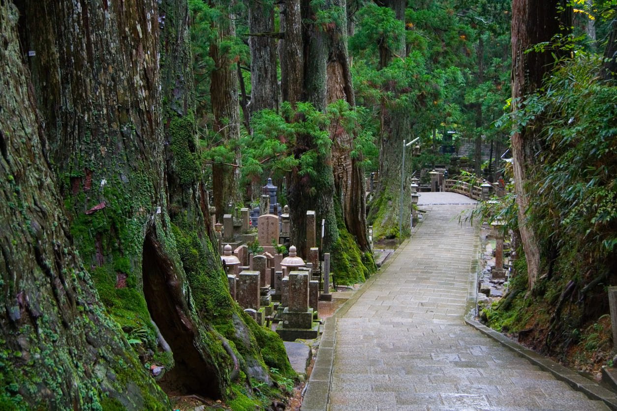 Koyasan trail