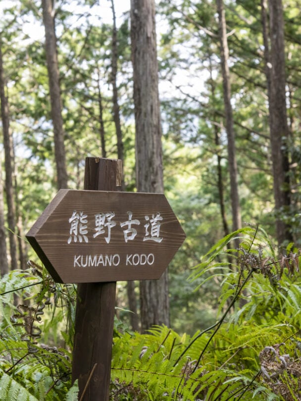 Kumano Kodo tour
