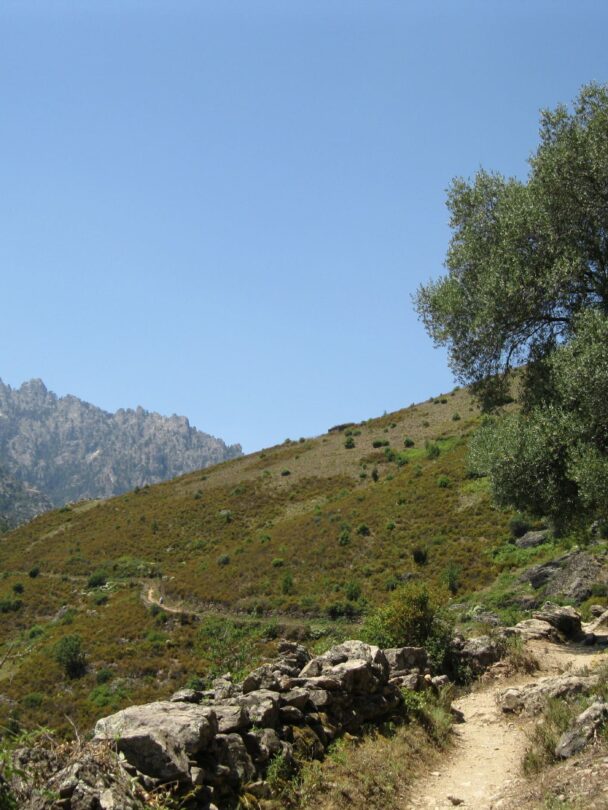 Self-Guided Walking Holidays in Corsica: Mountains to Coast