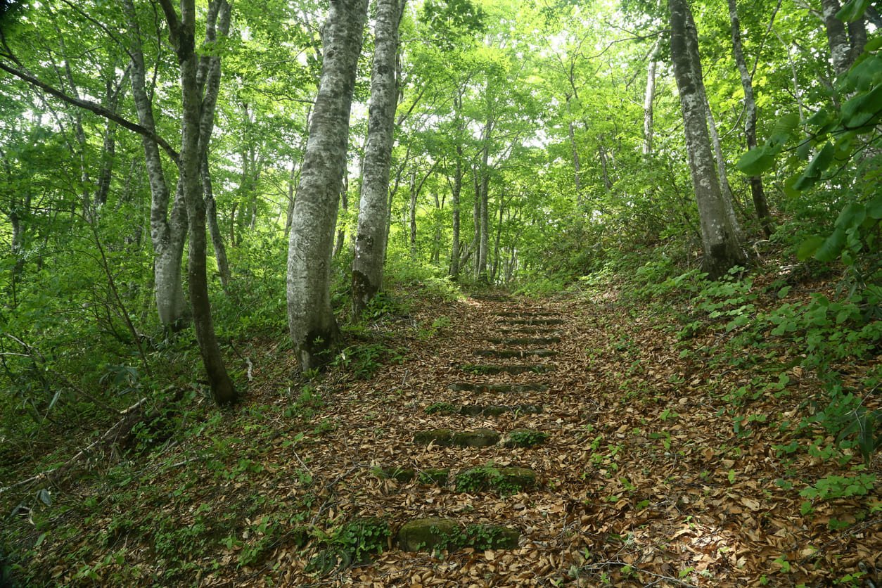 Natagiri pass in Japan