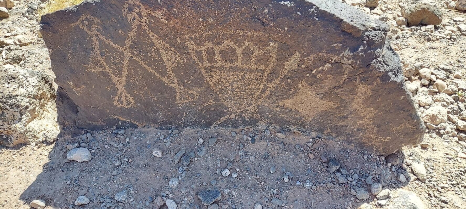 Petroglyphs on a New Mexico tour hike