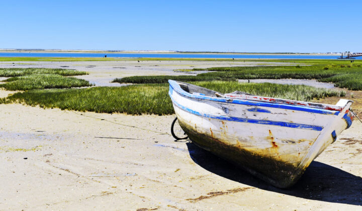 Boat at Ria Formosa