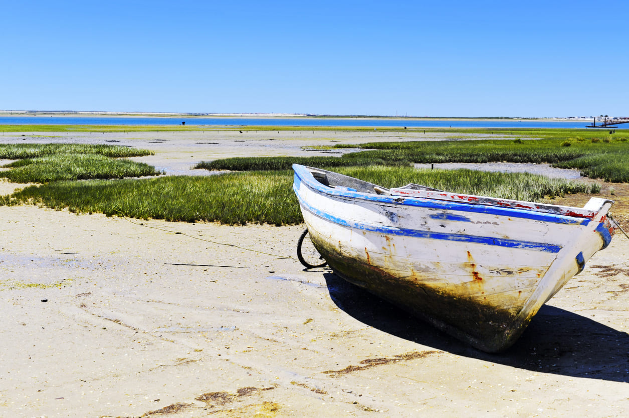 Boat at Ria Formosa