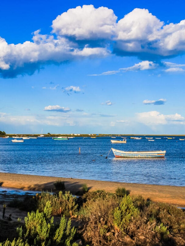 Portugal Algarve Vicentine coast tour