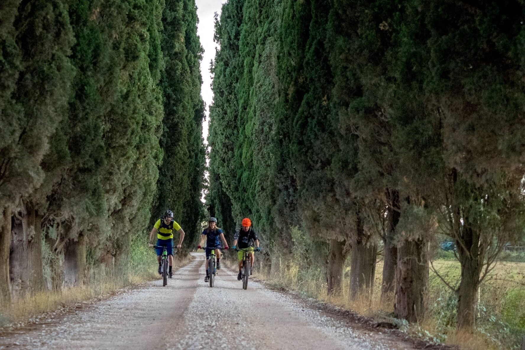 Riders on a cypress-lined road in Tuscany