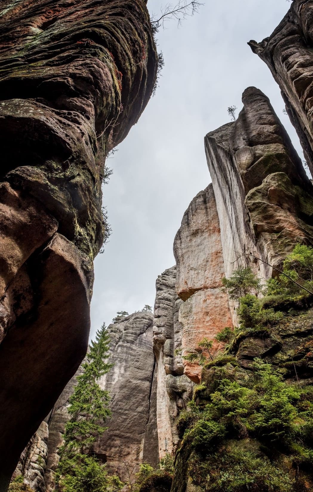 Sandstone cliffs in Labske Udoly, the start of the rock climbing holiday Europe
