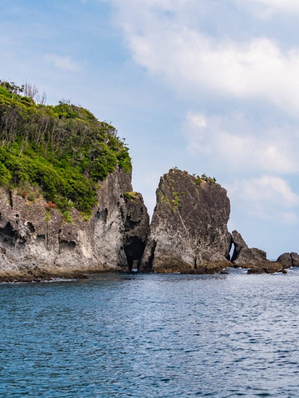 Seven-Day Mt Fuji Tour: Walk the Izu Geo Trail