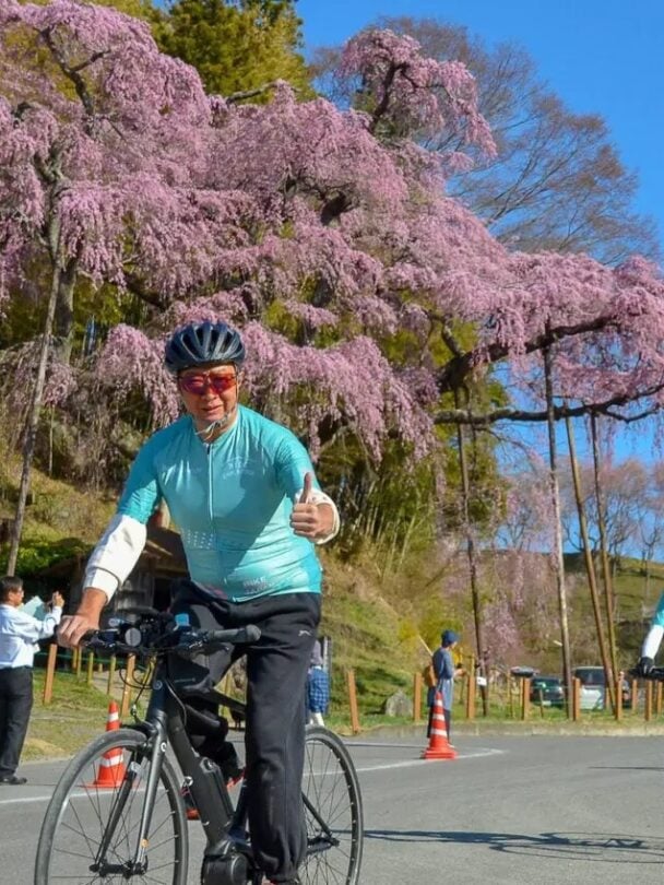 Tohoku sakura bike tour