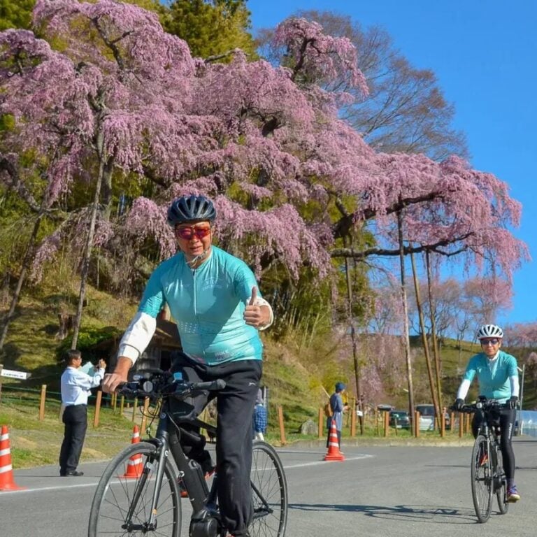 Tohoku Sakura Bike Tour: Cherry Blossoms & Onsen | 57hours