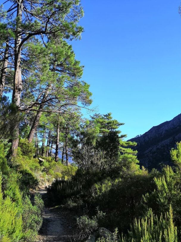 Explore Corsica by Train: A Self-Guided Hiking Adventure