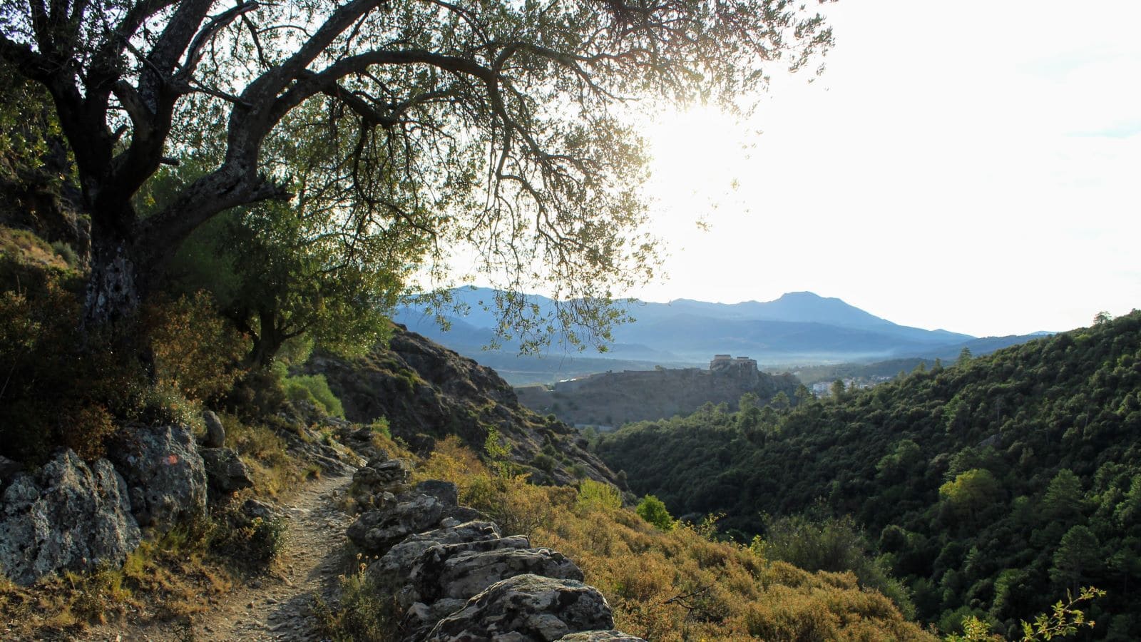 Tavignano Gorge hike on the Corsica train tour