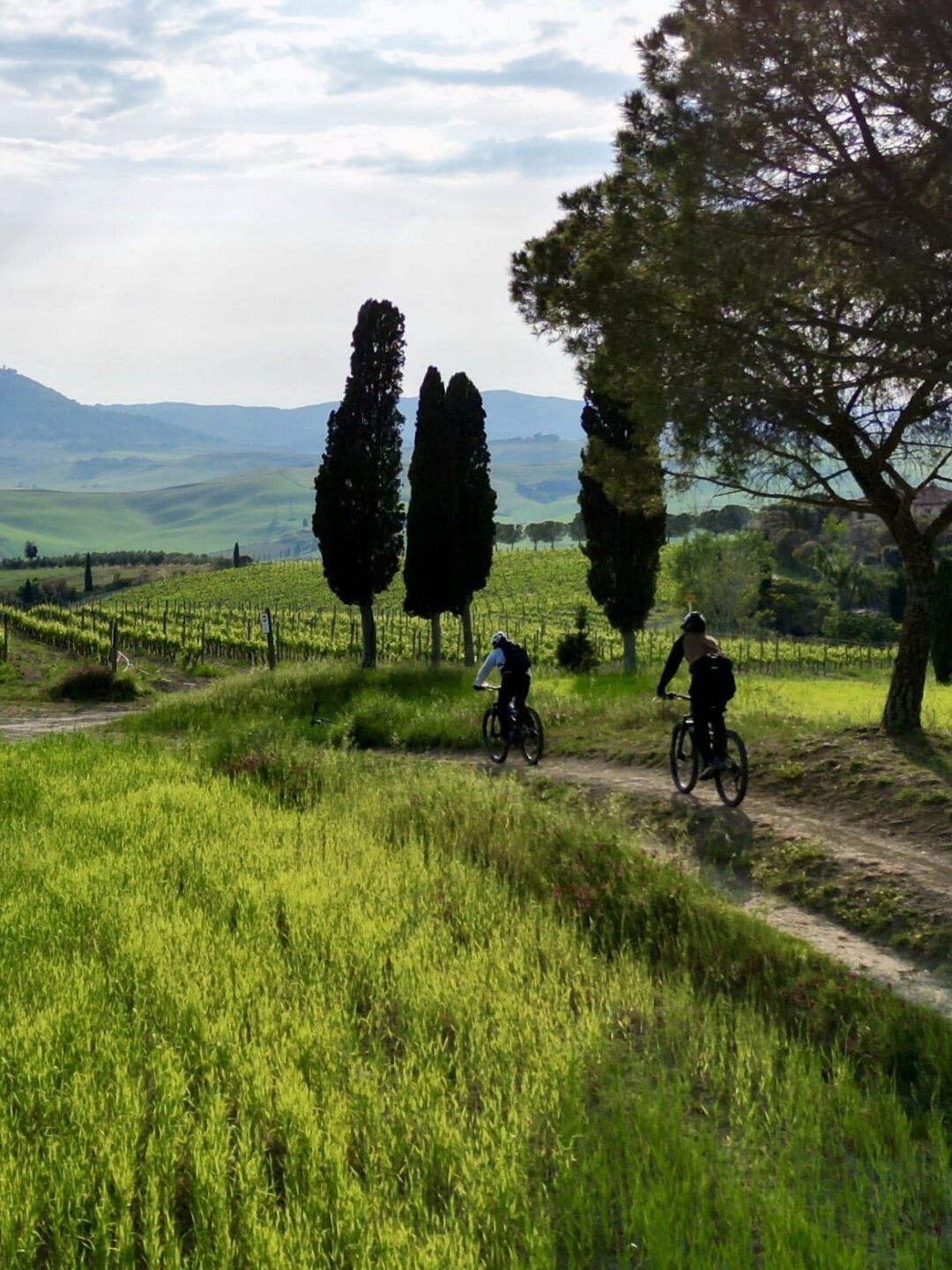 Italy Bike Tours with Local Guides - 57hours