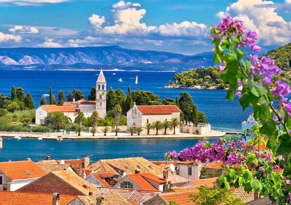 Vis flowers view