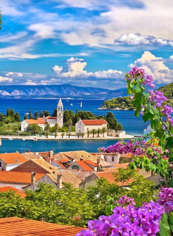 Vis flowers view