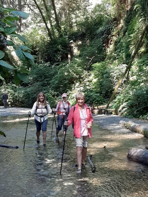 Redwood Wellness Tour: All-Women Active Vacation